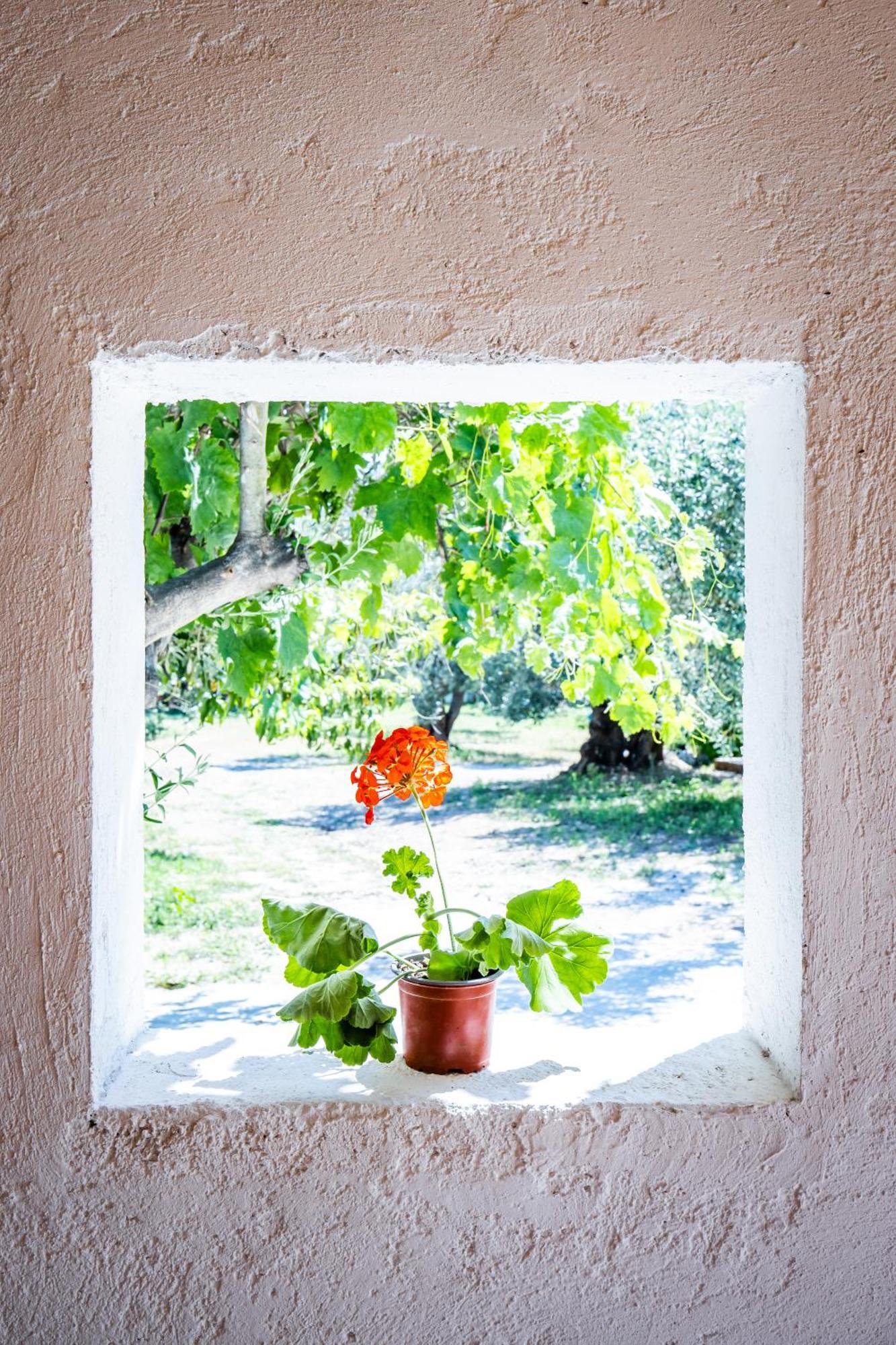 Eleonora'S Villa Skopelos Exterior foto